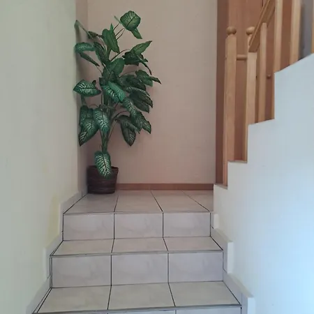 U Zosi Apartamento Krościenko